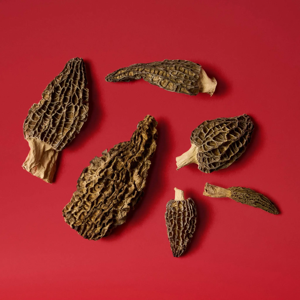 Morilles Morchella conica 125g