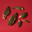 Morilles Morchella conica 125g