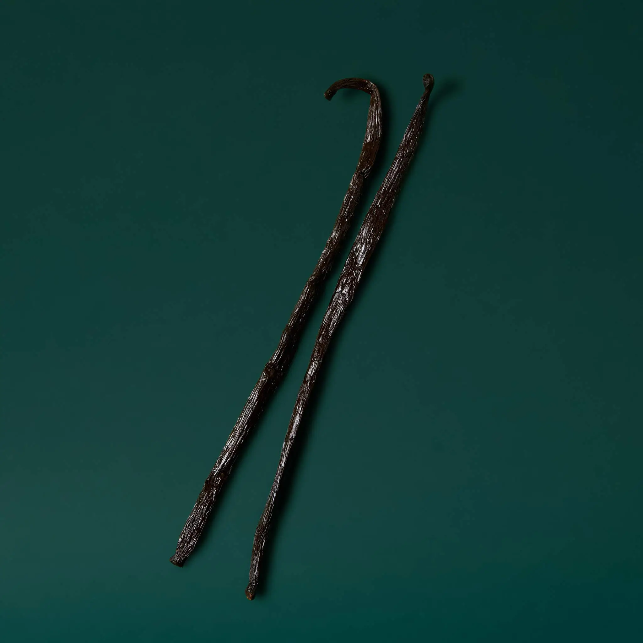 Jar of 50 Bourbon Madagascar vanilla pods - 1