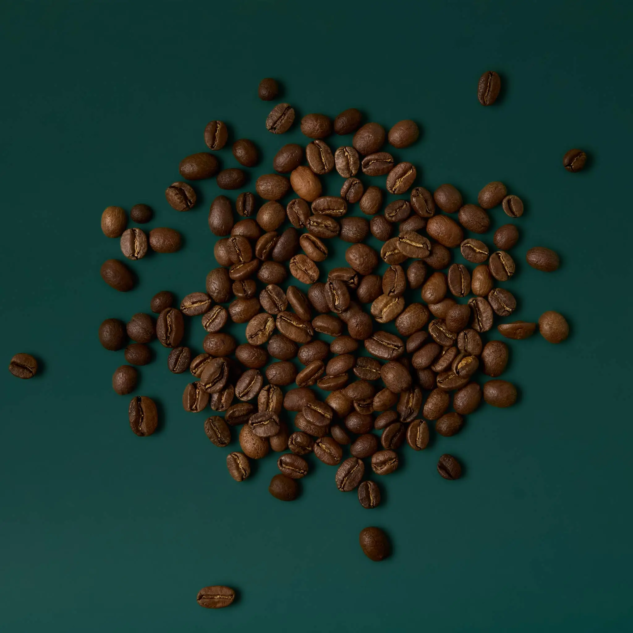 Terra Querida Colombian Coffee 800g La Grange - 1