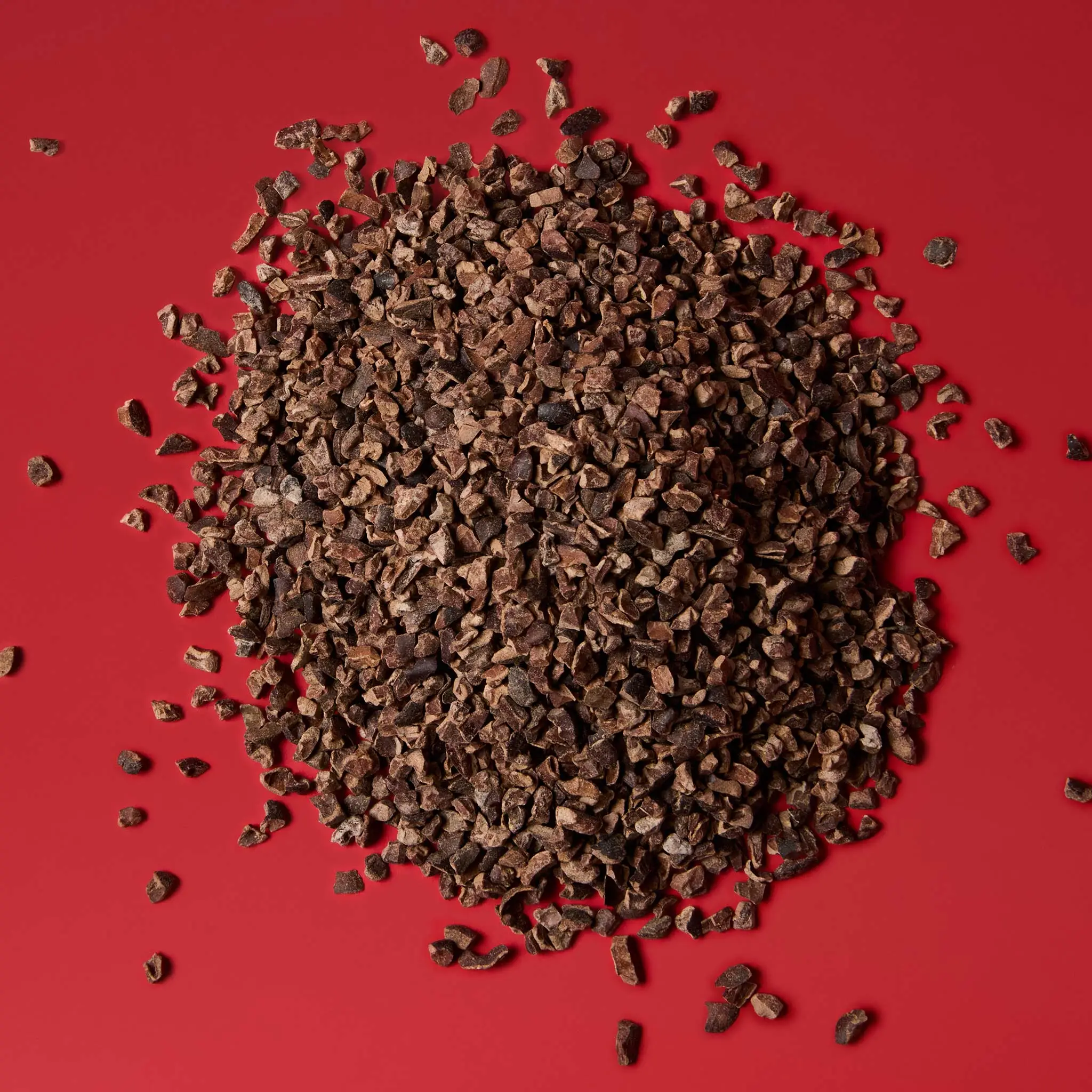 GRUE de FEVE de CACAO Torrefié 250g    BARRY - 1