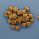 LINNOI6021 photo 3
