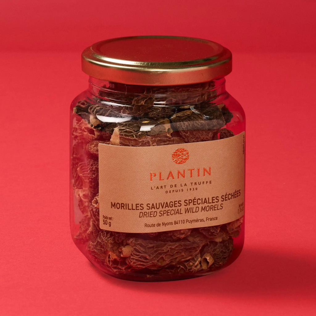 Morels Morchella conica 50g
