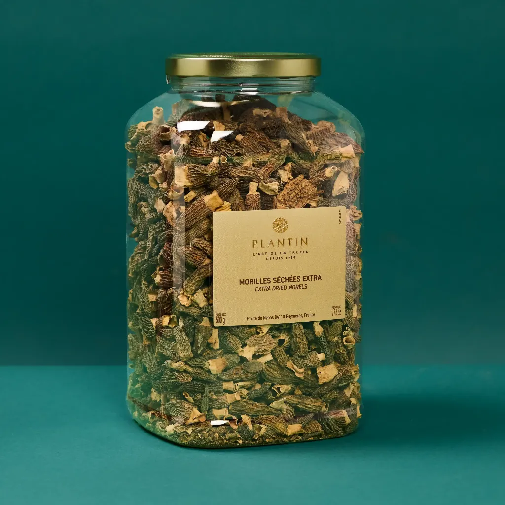 Morilles Morchella conica 500g