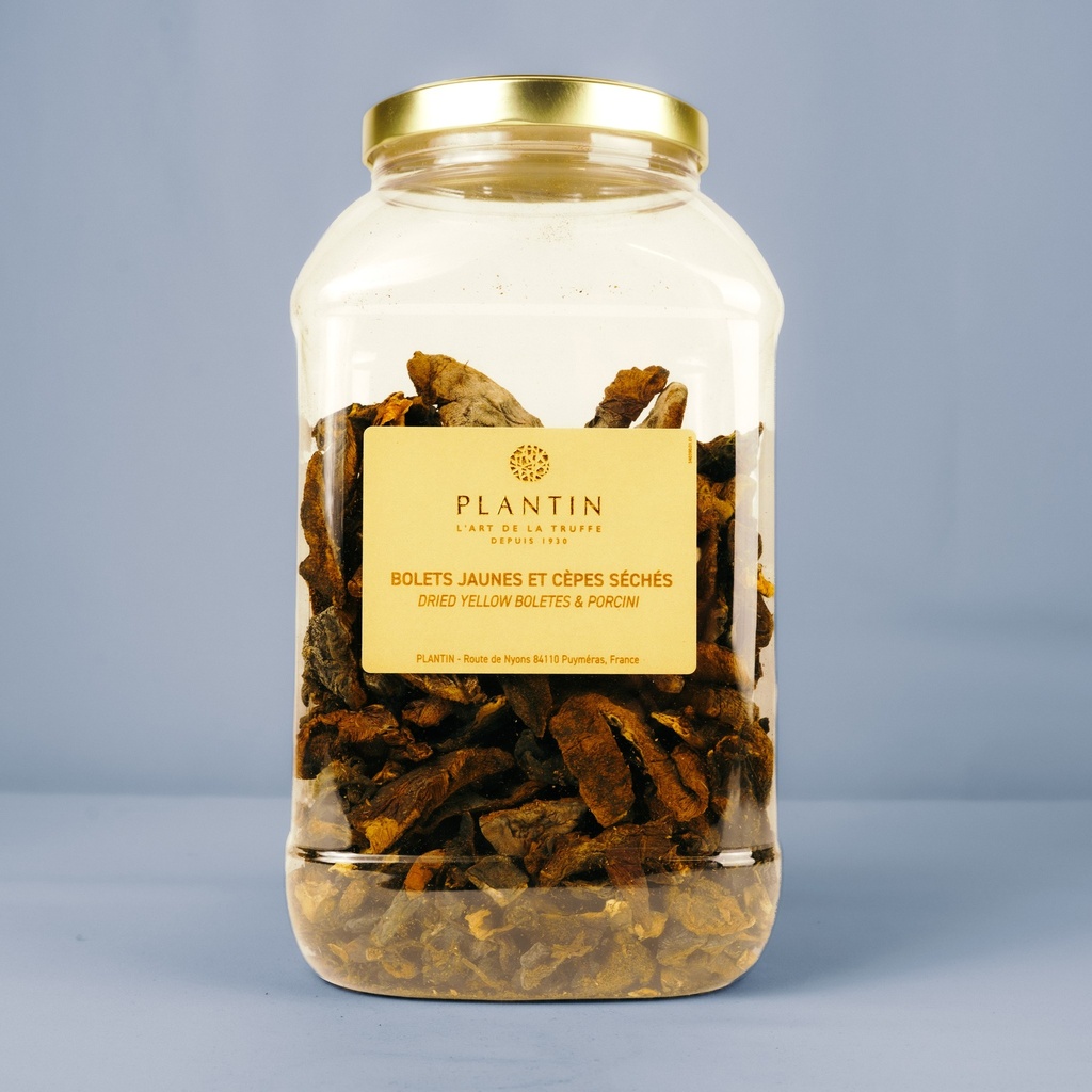 Mélange CEPES et BOLETS        500g    PLANTIN