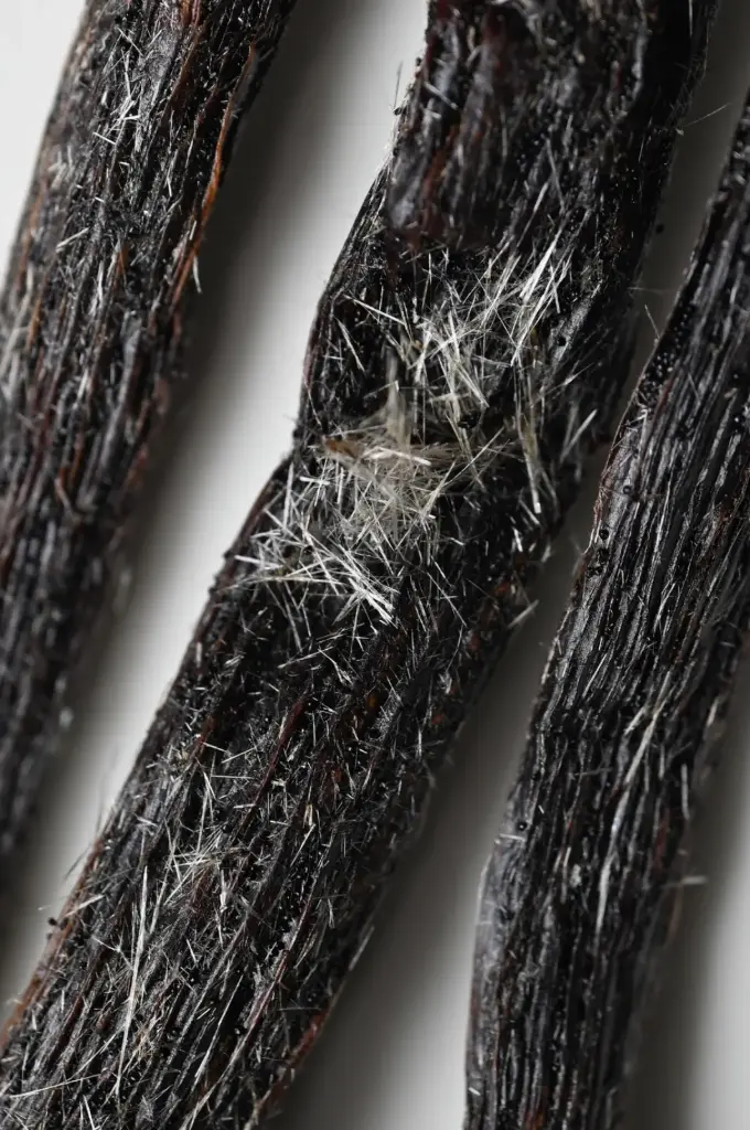 3 Frosted Madagascar Bourbon Vanilla Pods