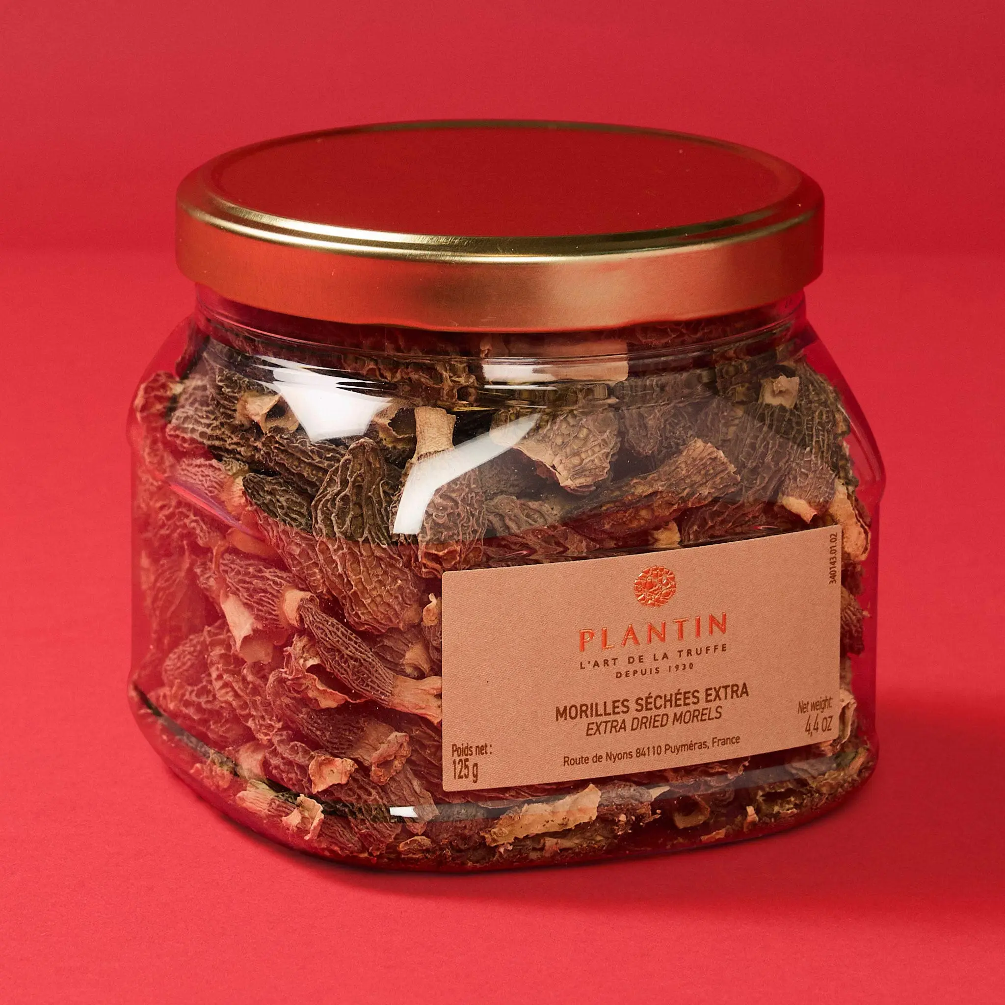 MORILLES Morchella conica 125g PLANTIN