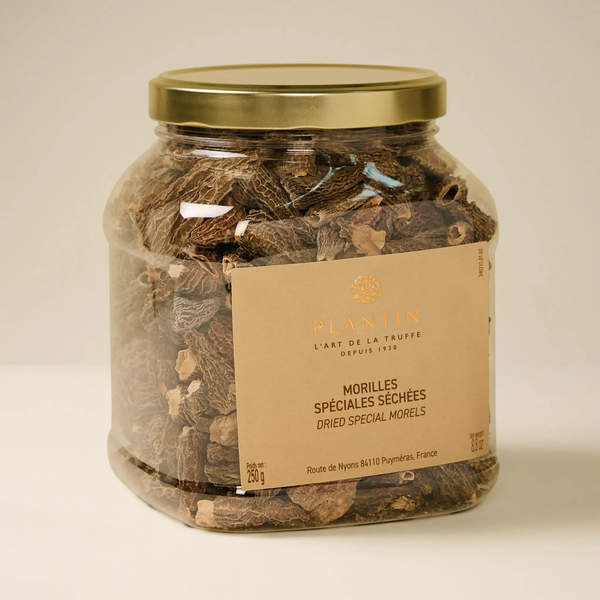 MORILLES Morchella conica 250g PLANTIN